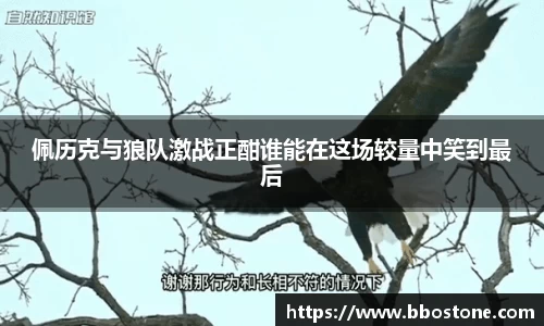 BB贝博